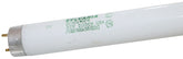 Sylvania 22026 Fluorescent Bulb, 32 W, T8 Lamp, Medium G13 Lamp Base, 2820 Lumens, 5000 K Color Temp, Super White Light